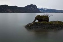 the elephant on lake luzern.jpg